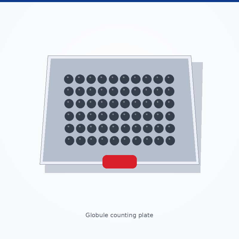 PILFIL globule counting plate detail